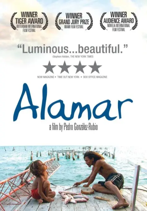 《拥抱大海》：情感的暗流涌动，一次关于生存与救赎的静默独白