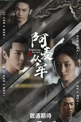 《阿麦从军》：巾帼不让须眉的战场传奇，热血与柔情交织的史诗级冒险